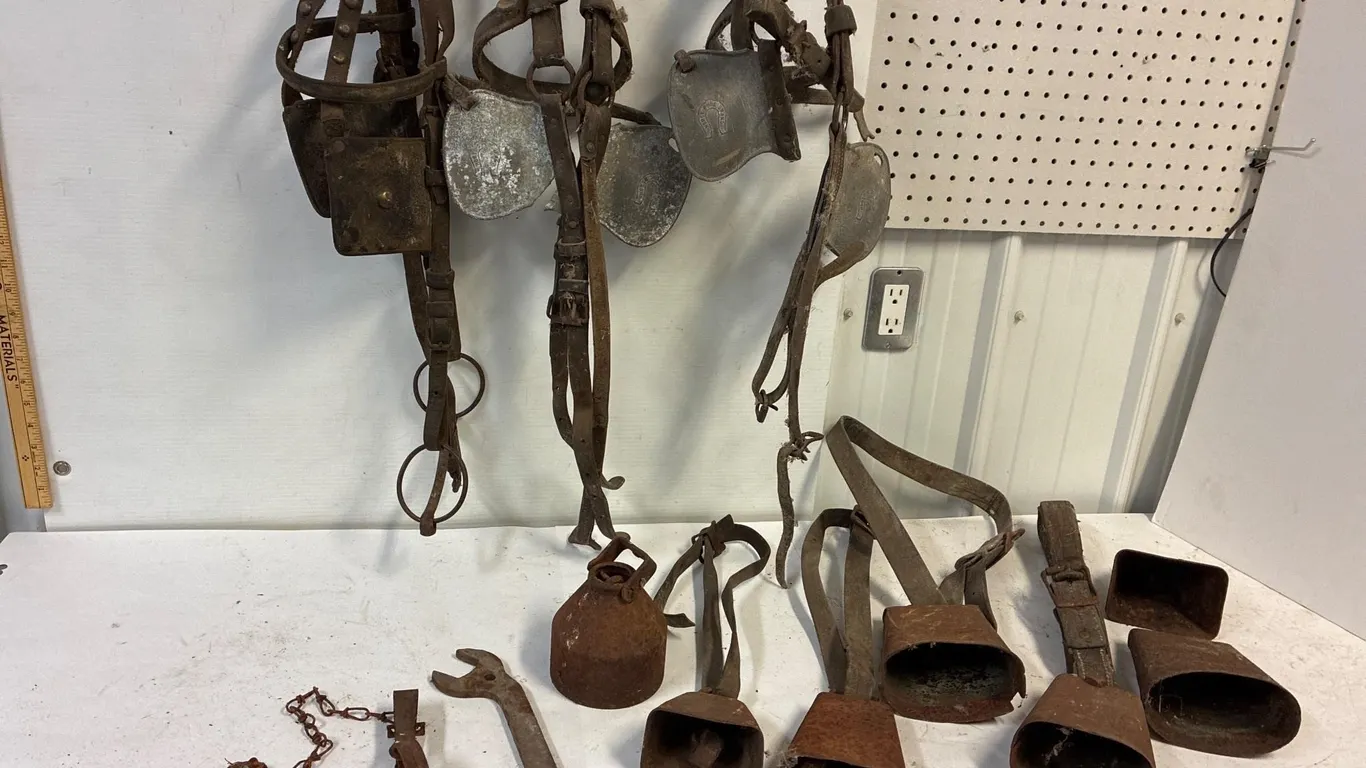 Blinders. Bells. Plus. Only 3 bells have strikers