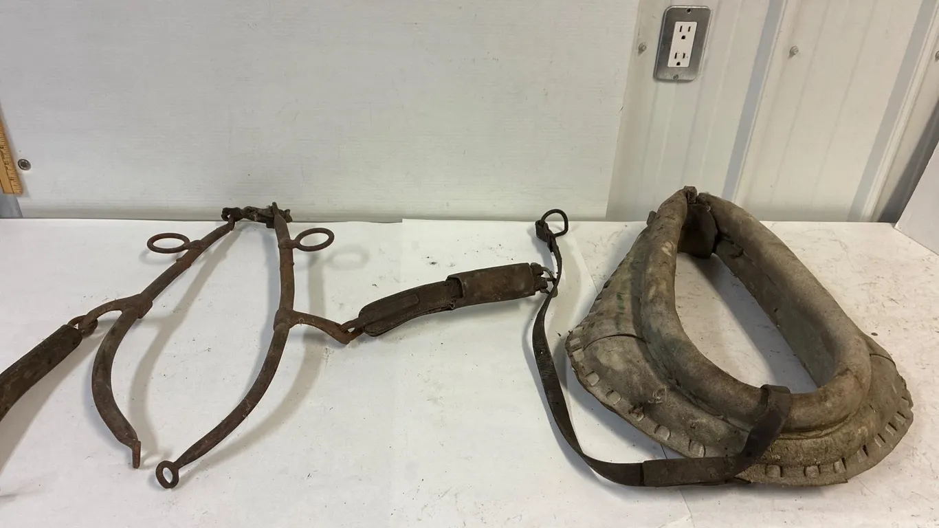 Antique 17” collar and steel hames.