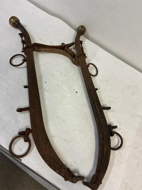 Set of brass top hames