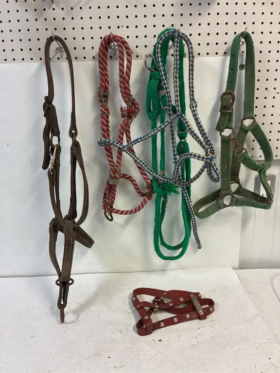 Halters assorted. Leather. Rope. Nylon.