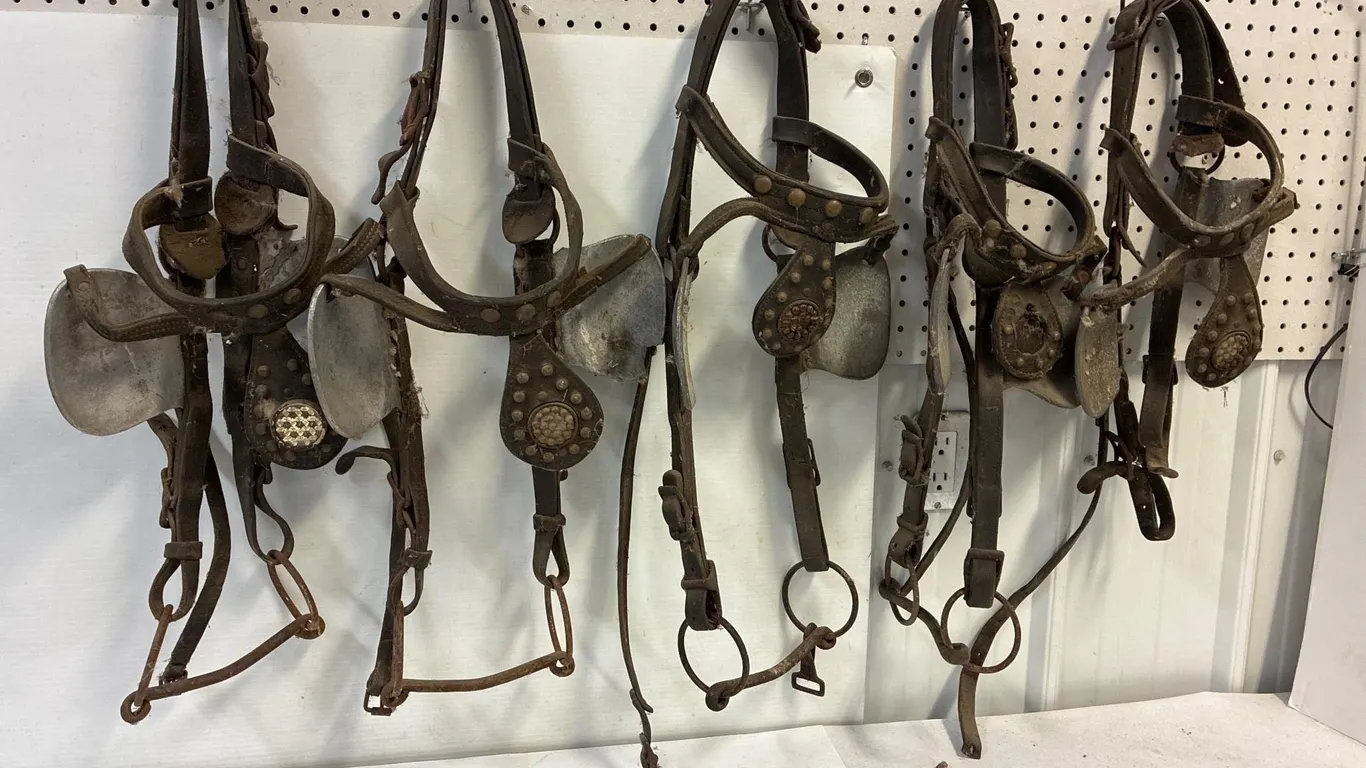 Horseshoe brand blinders for decorating or parts