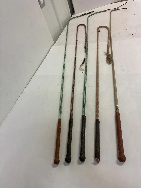 5 stock whips. Used or experienced