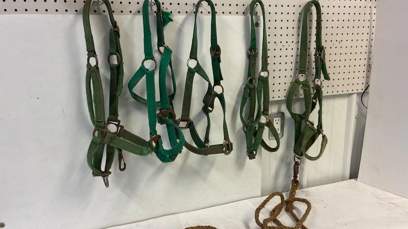 5 green nylon halters. Relatively decent.