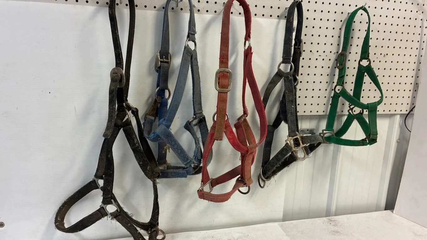 5 assorted nylon halters. Relatively decent
