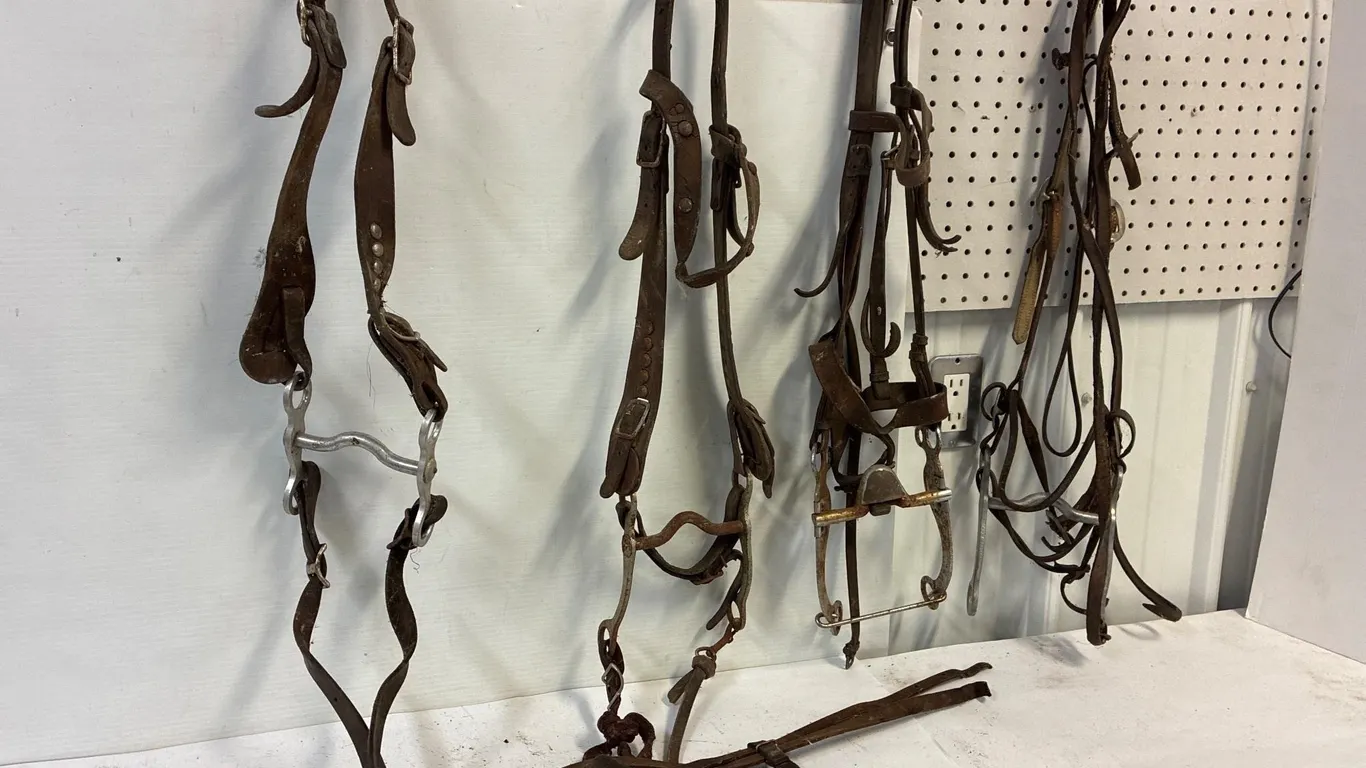 4 leather bridles with bits. Leather is dried out