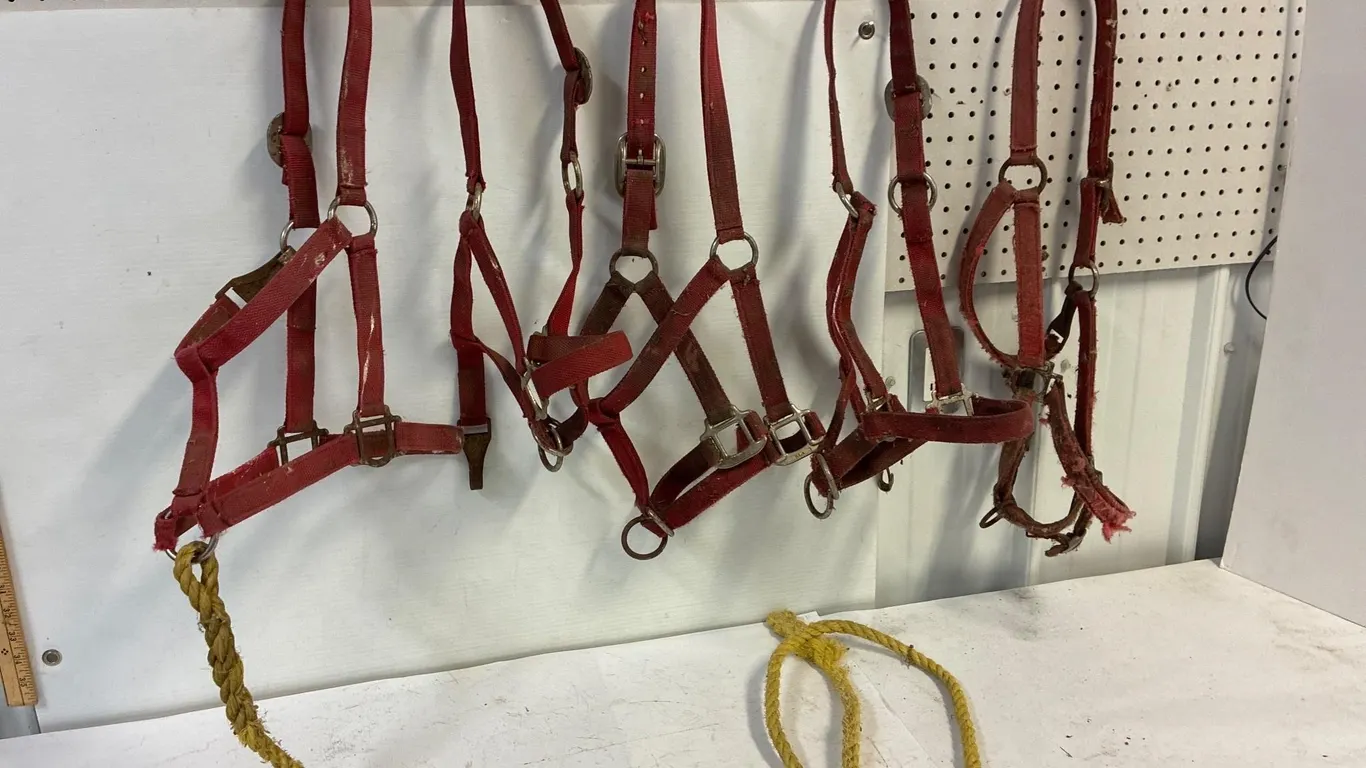 5 red nylon halters. 4 decent. 1 repaired