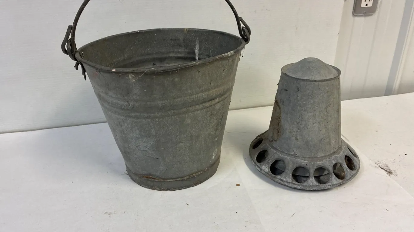 Galvanized bucket and chicken waterer