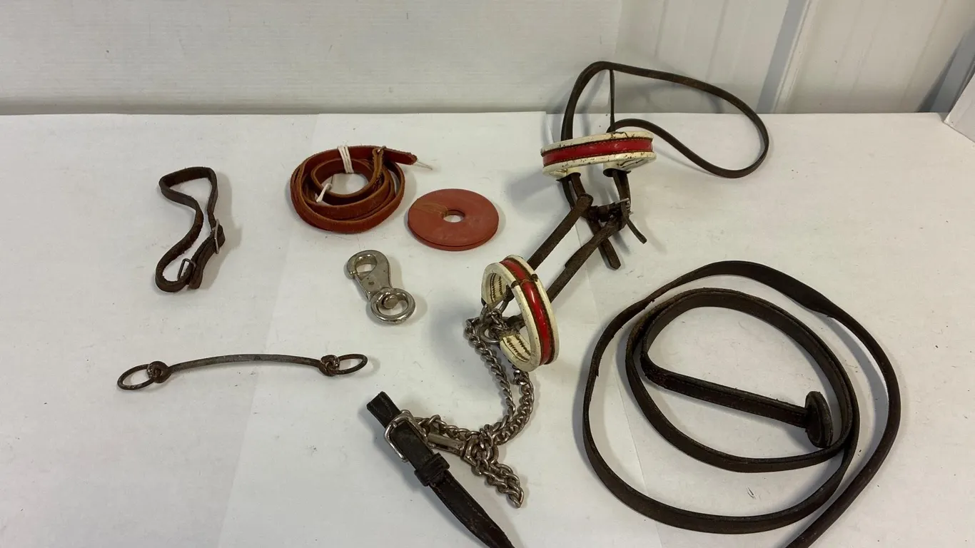 Leather headstall & lead shank, chin strap, bit,