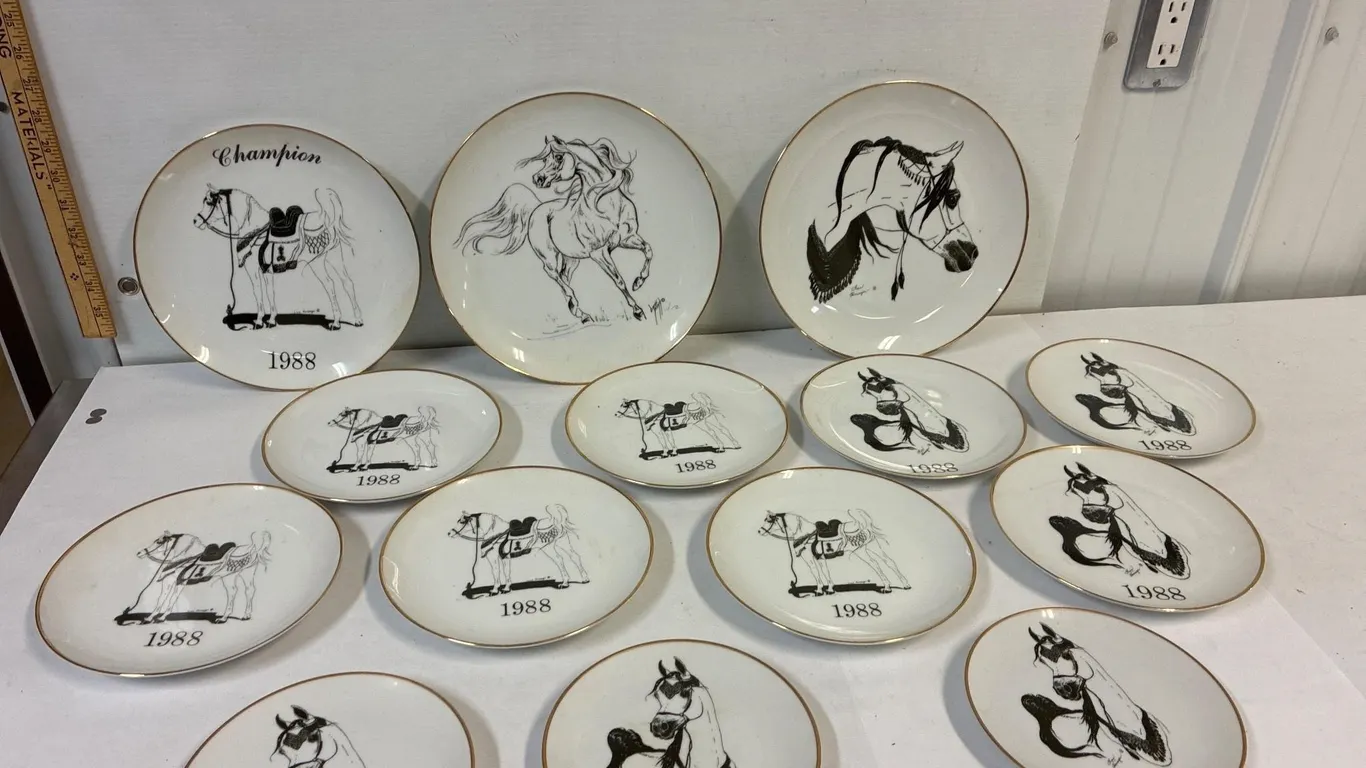 14 Arabian plates.
