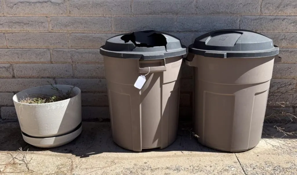 Plant Pot w/ Saucer & Trash Cans