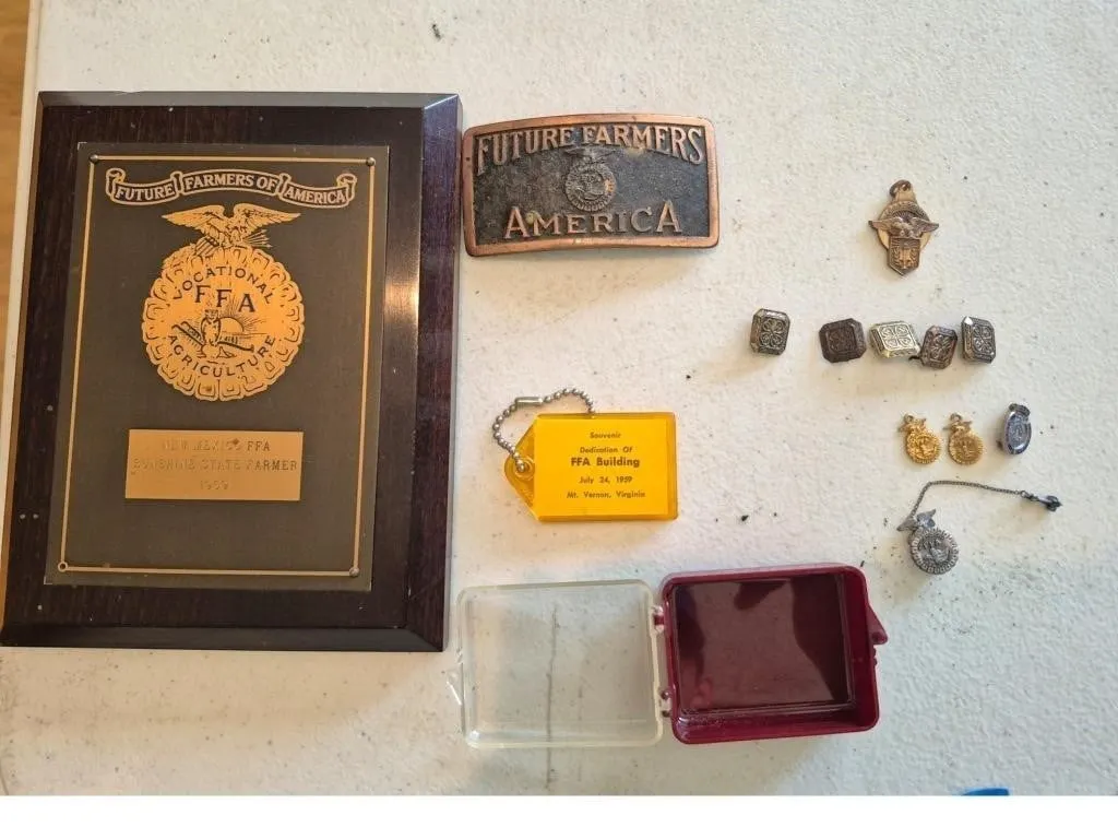 FFA Lot: Belt Buckle, Pins, Plaque, Keychain