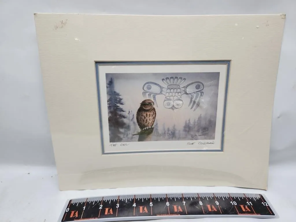 "The Owl" Framed Print by Sue Coleman