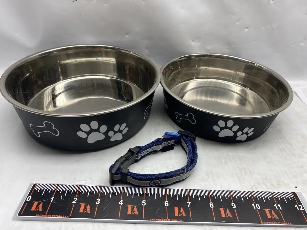 Stainless dog bowls (2) and blue dog collar