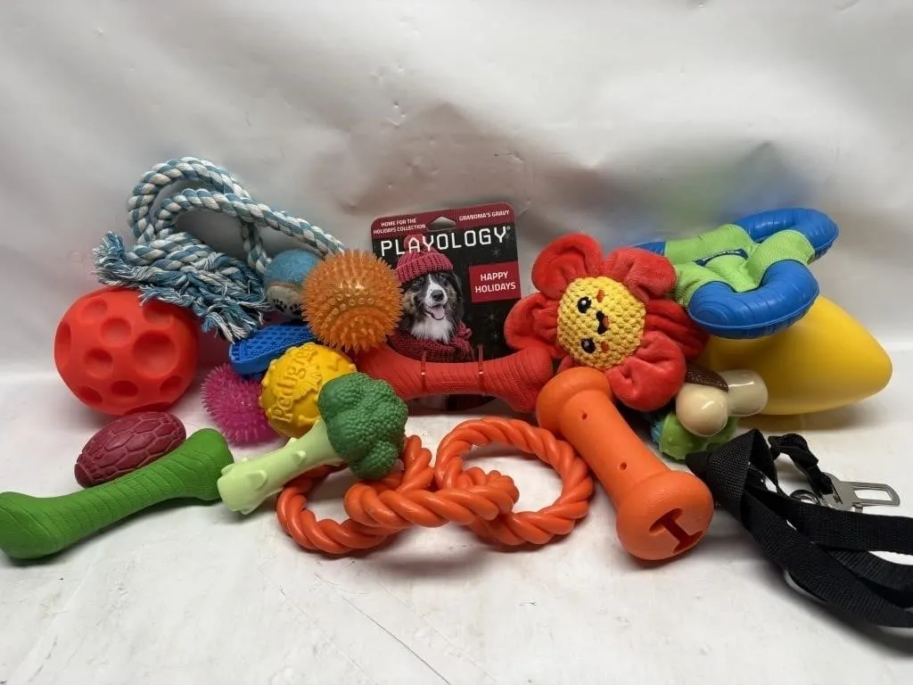 Assorted Dog Toys: Rope, Balls, Rubber Chews &