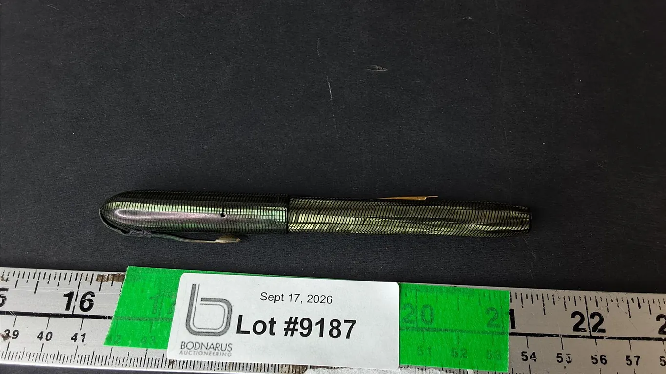 Snake Skin Style Calligraphy Pen