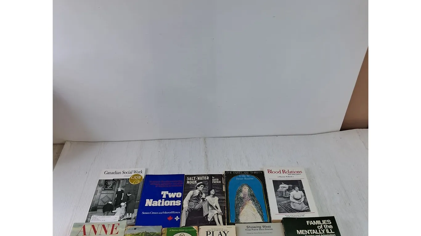 (11) Books Play Therapy, Two Nations, Blood Relations, Dictionary, Ladder of Years, My Life With MLK