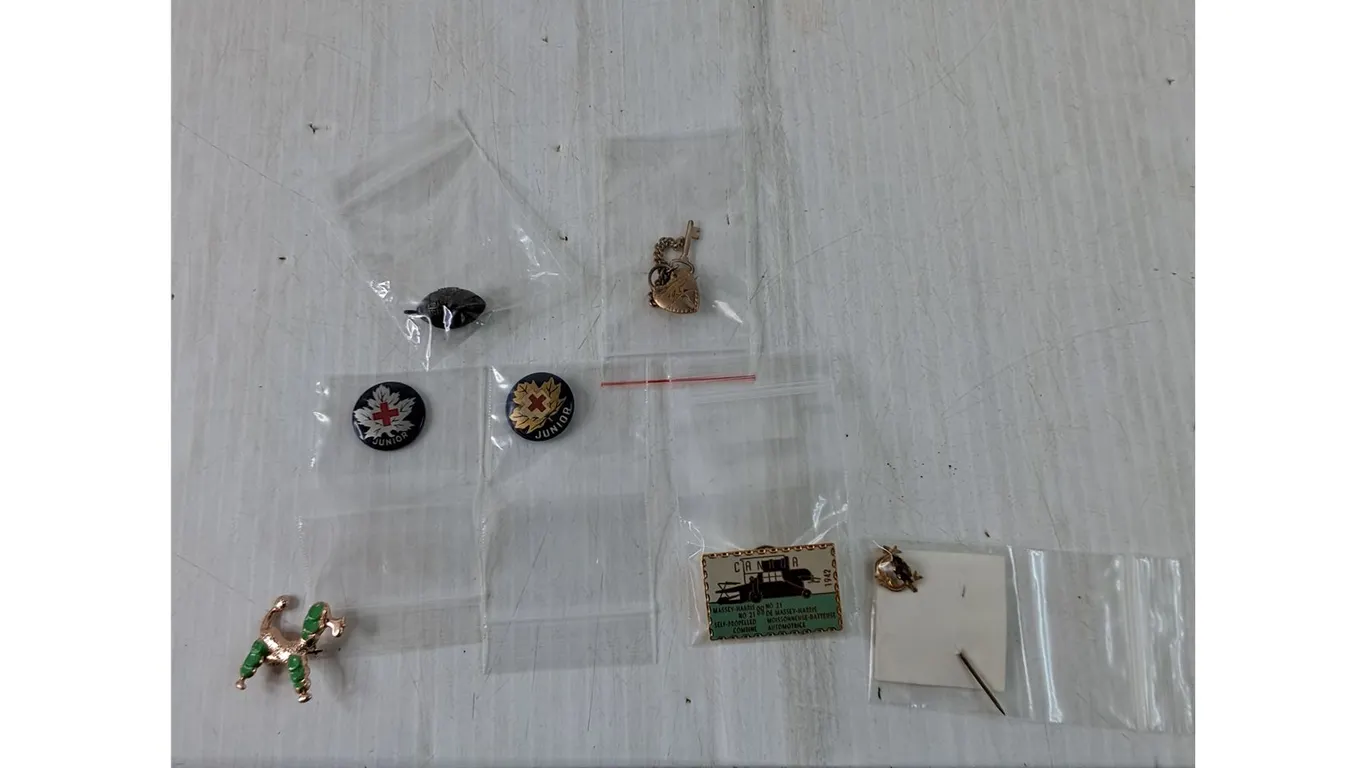 (4) Pins, Dog, (2) Junior Red Cross, Massey-Harris, Saber, Football And Heart Lock Keychain
