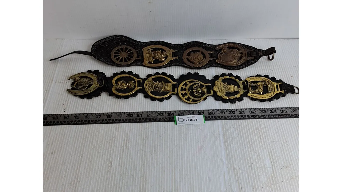 (2) Leather Straps w/ Brass Medallions