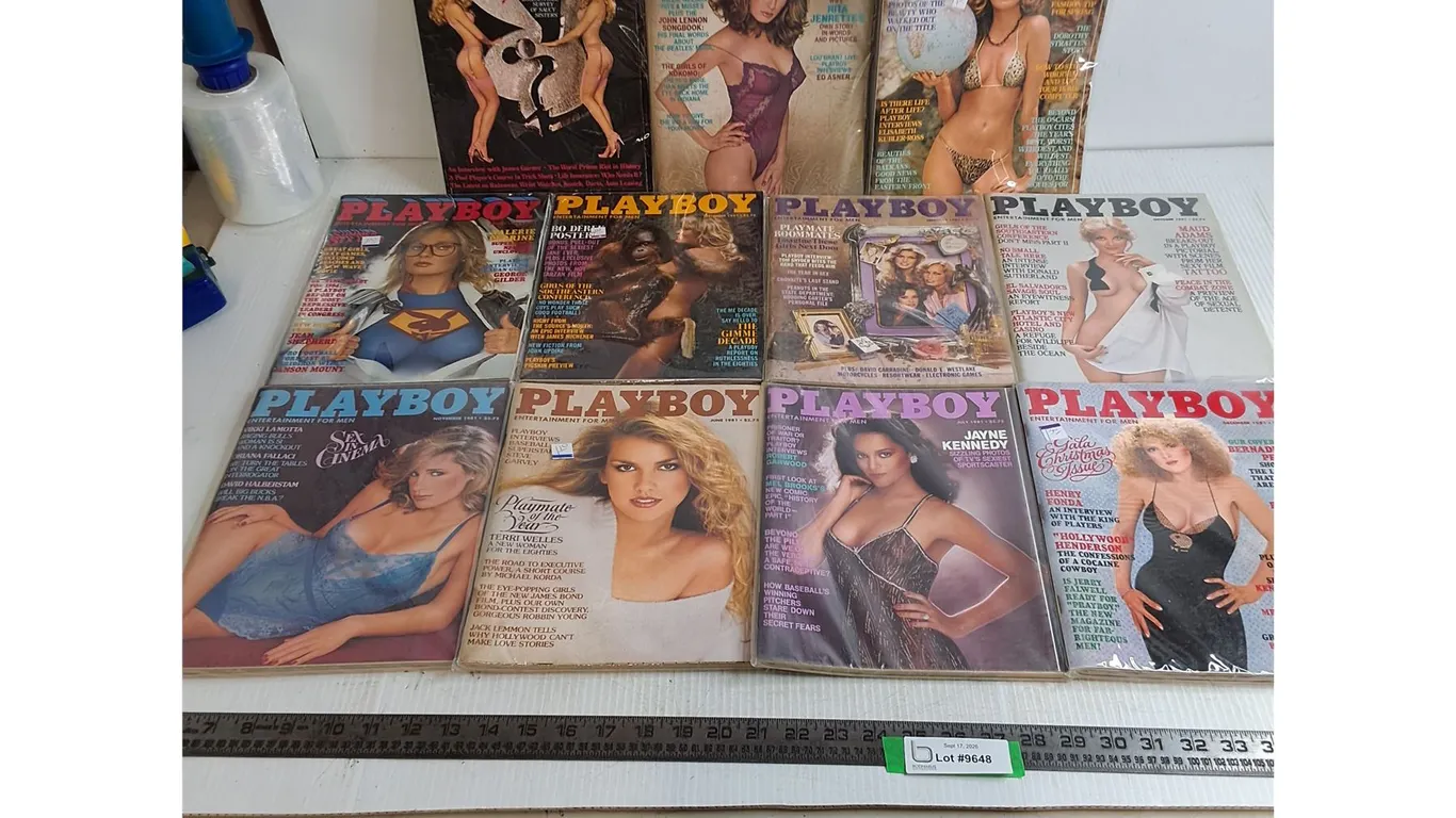 (11) 1981 Playboy Magazines