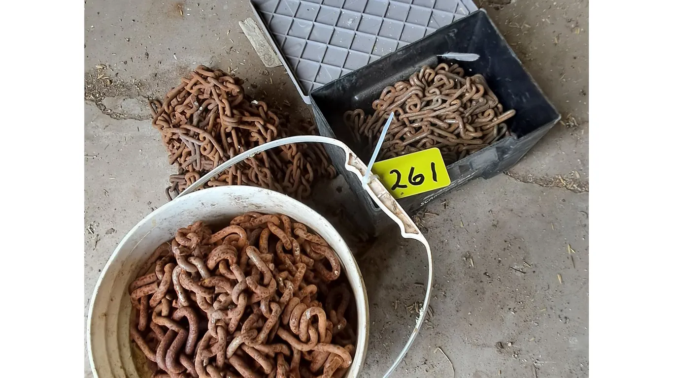 (3) Chains