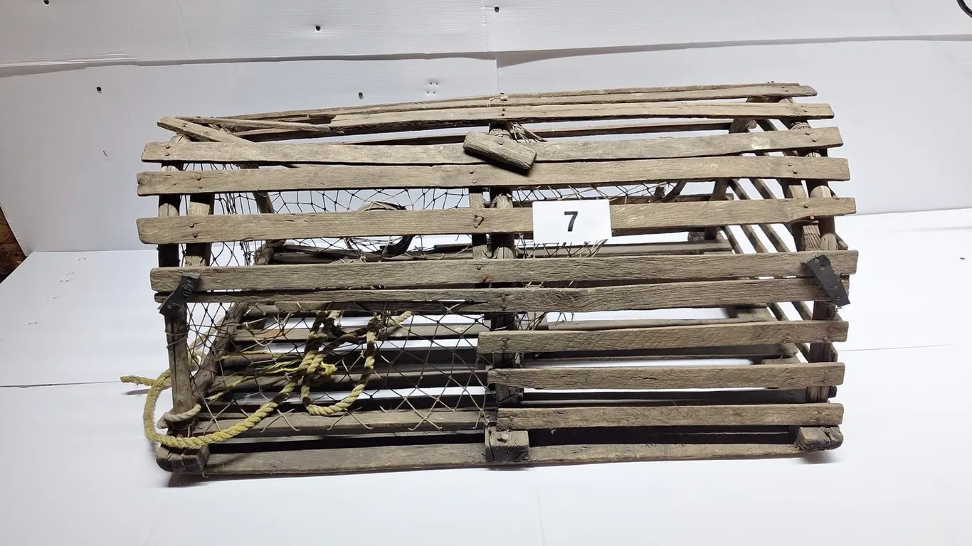 Fish trap