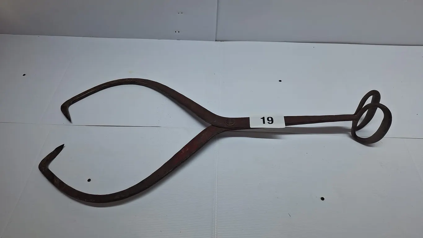 Long log grapple. 356" H