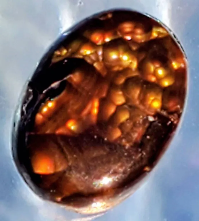 Mexican Fire Agate (5.55 ct, 13.7×10×4.7 mm)