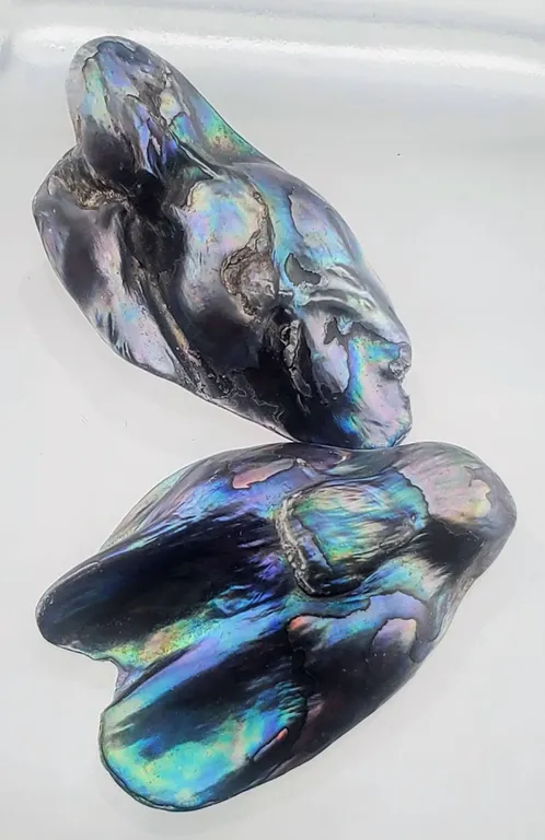 Abalone Pearl Pair (54 ct total, 30×20 mm)