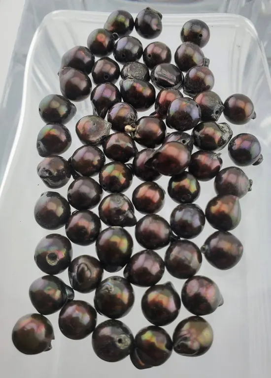French Dyed Black Cultured Pearl Parcel (223.2 ct total, 8 mm)