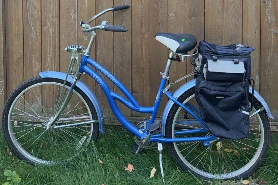 Trek Classic Cruiser Blue Bicycle with Rear Storage Bag