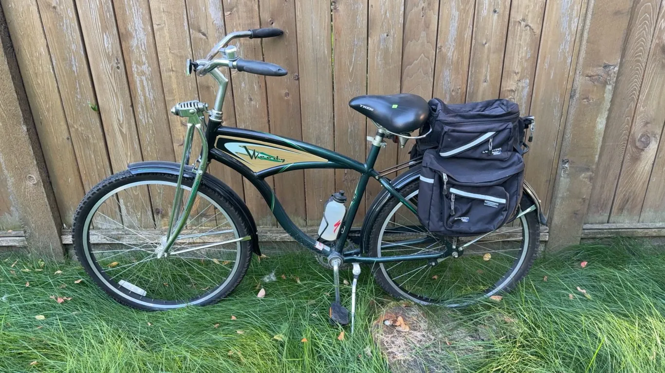 Trek Classic Cruiser Bicycle with Rear Pannier Bags and Water Bottle