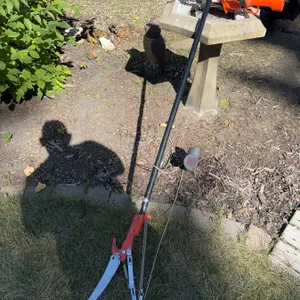 Electric Hedge Trimmer, Pole Saw and Plastic Owl Decoy Lot