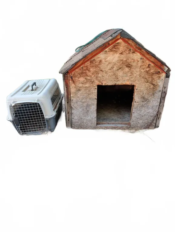 Large Wood Dog House With Shingle Roof and Plastic Pet Carrier