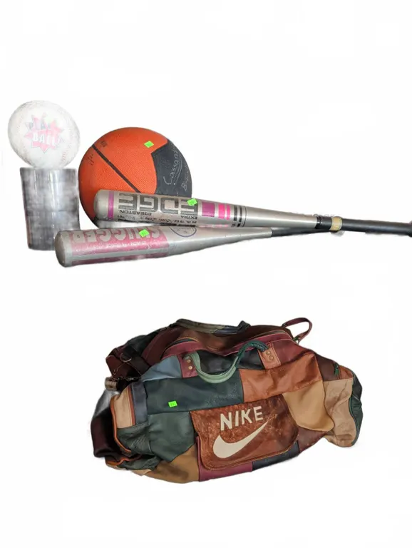 Sports Equipment Lot with Nike Bag, TEKK Basketball Hoop, Bats, and Balls