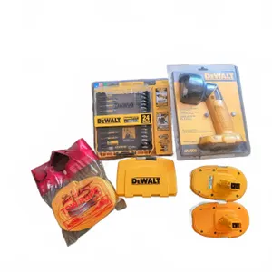 NEW DEWALT 18V Flashlight with Batteries, Bit Set and Tow Rope
