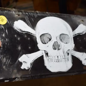 Skull Novelty License Plate