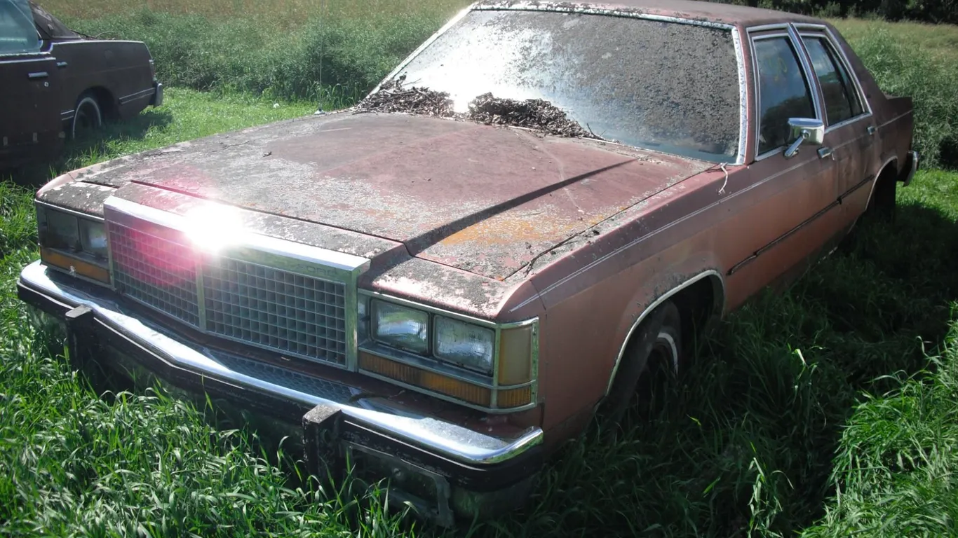 Ford car VIN: 2FABP33F1BB120452