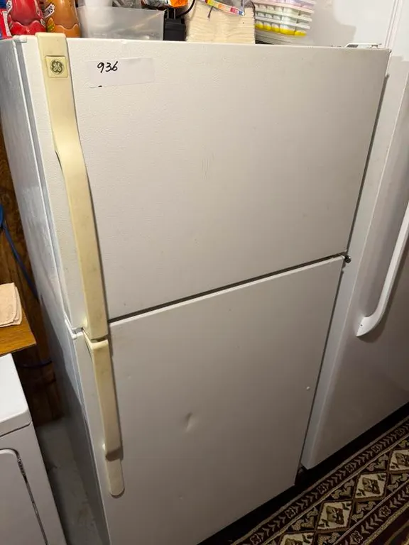 GE White Fridge (28"x 61" High)