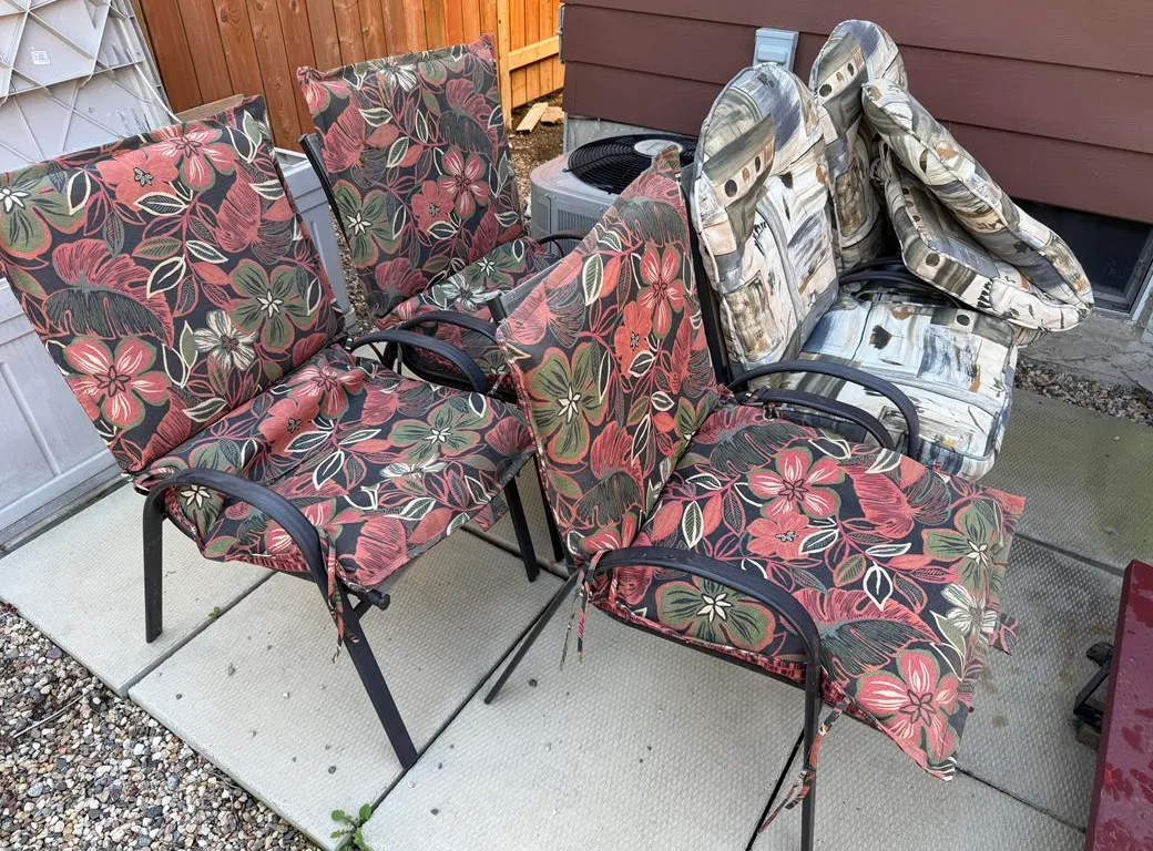 (5) Deck Chairs with Cushions