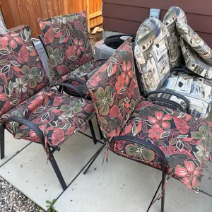 (5) Deck Chairs with Cushions