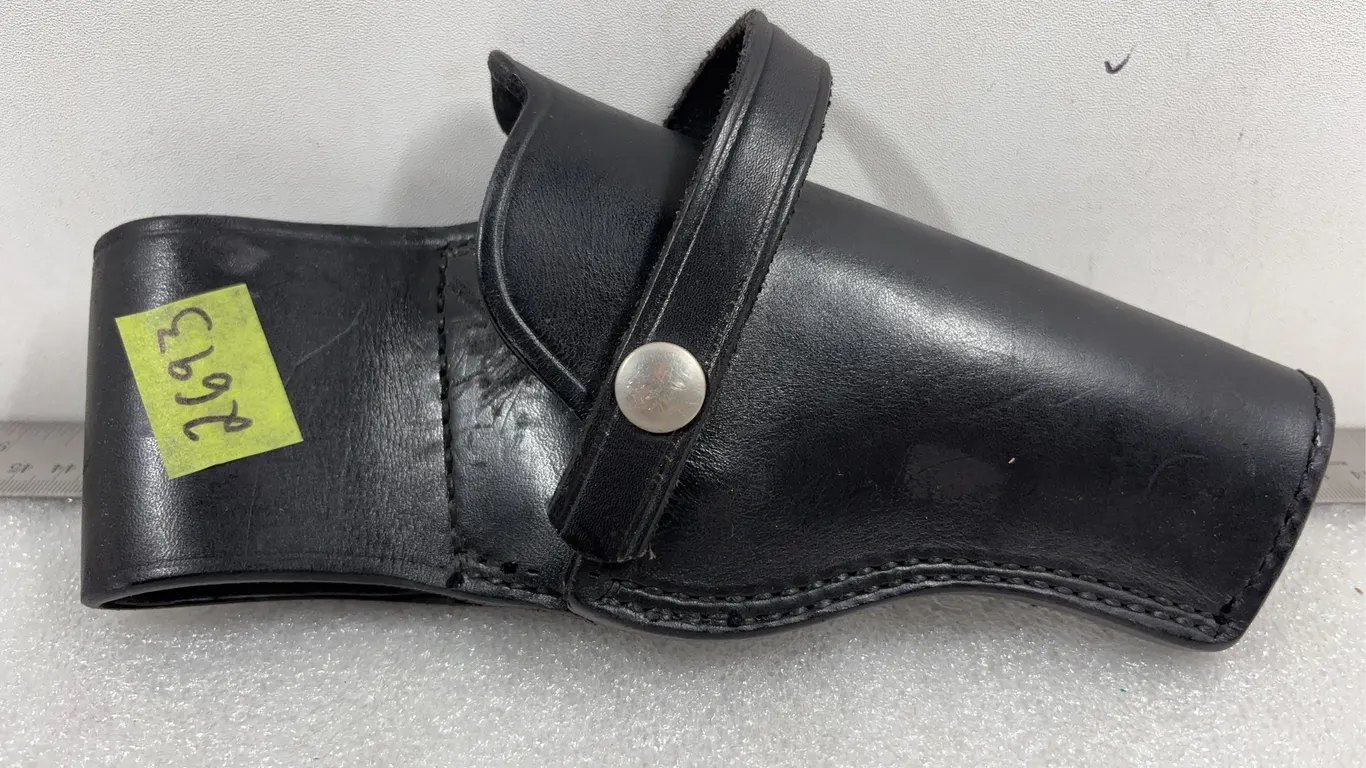 Pistol Holster *Unreserved*