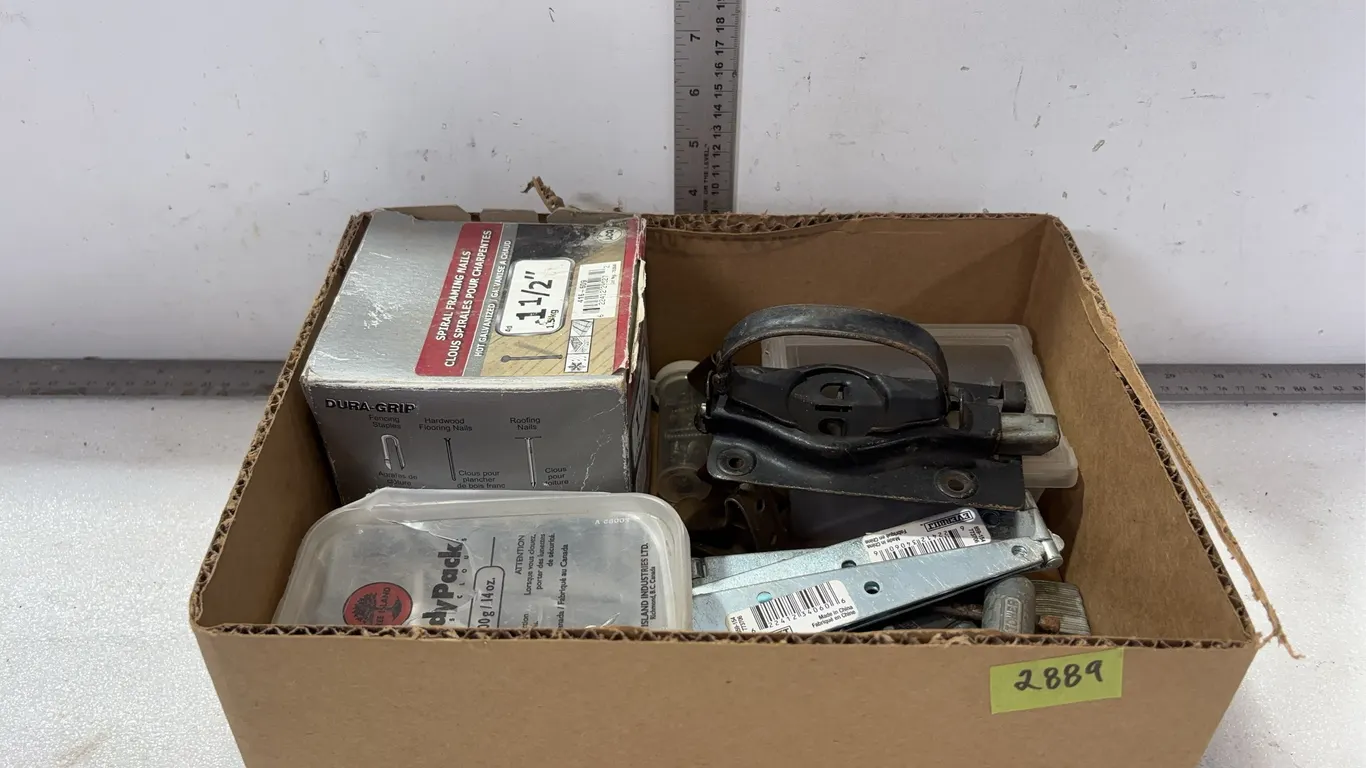 1 - Box of Assorted Screws and Nails and Misc. Chain Pieces, approx. 4 Units *Unreserved*