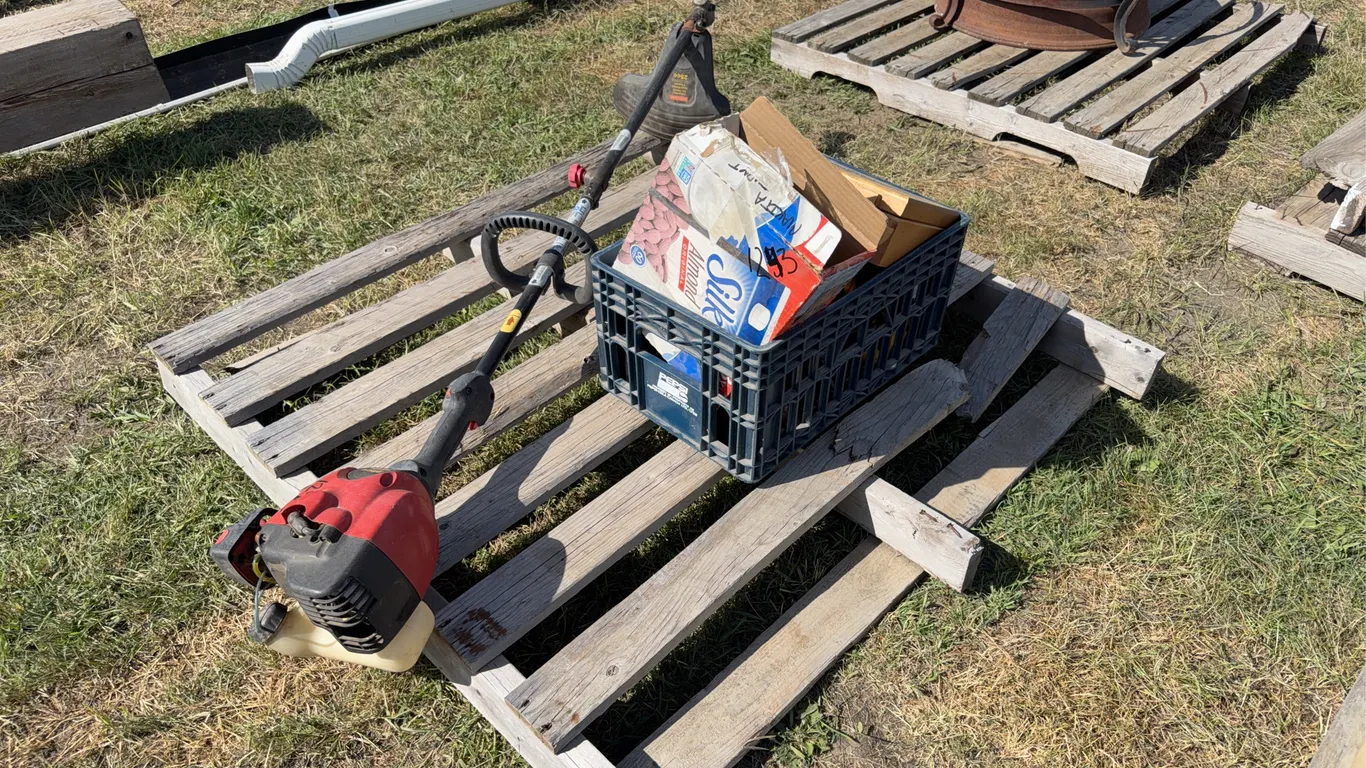 Craftsman 25cc gas Grass trimmer, Makita Impact drill, DeWalt Drills, lights, decorative box, *Unreserved*