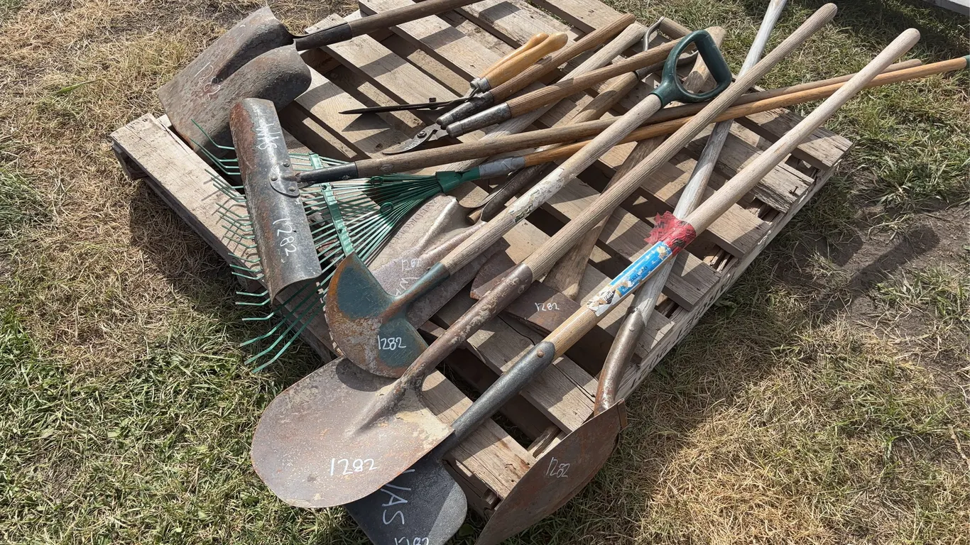 Assorted Shovels, rakes, approx 12 pces, *Unreserved*