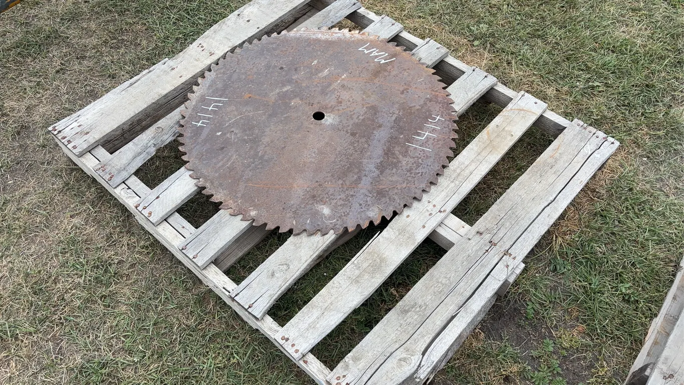 Saw blade of buzz saw, Approx. 2'7'' *Unreserved*