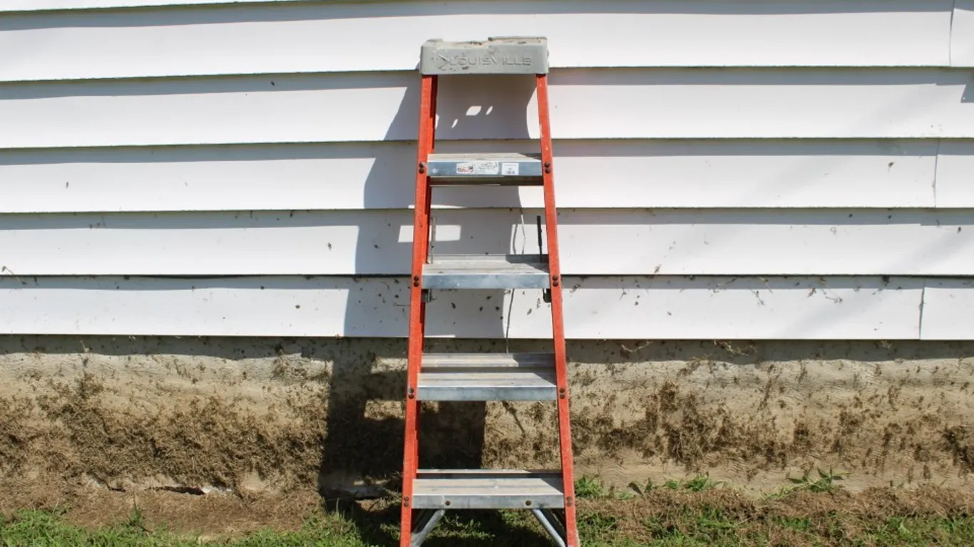 5 Foot Louisville Step Ladder