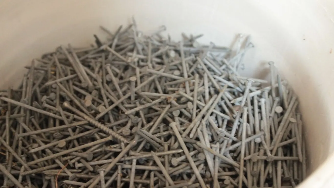 Galvanized Nails