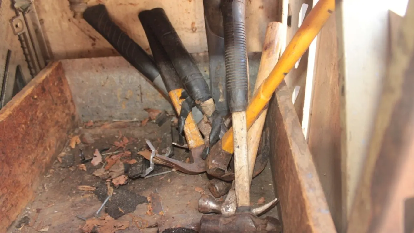 Variety of Hammers