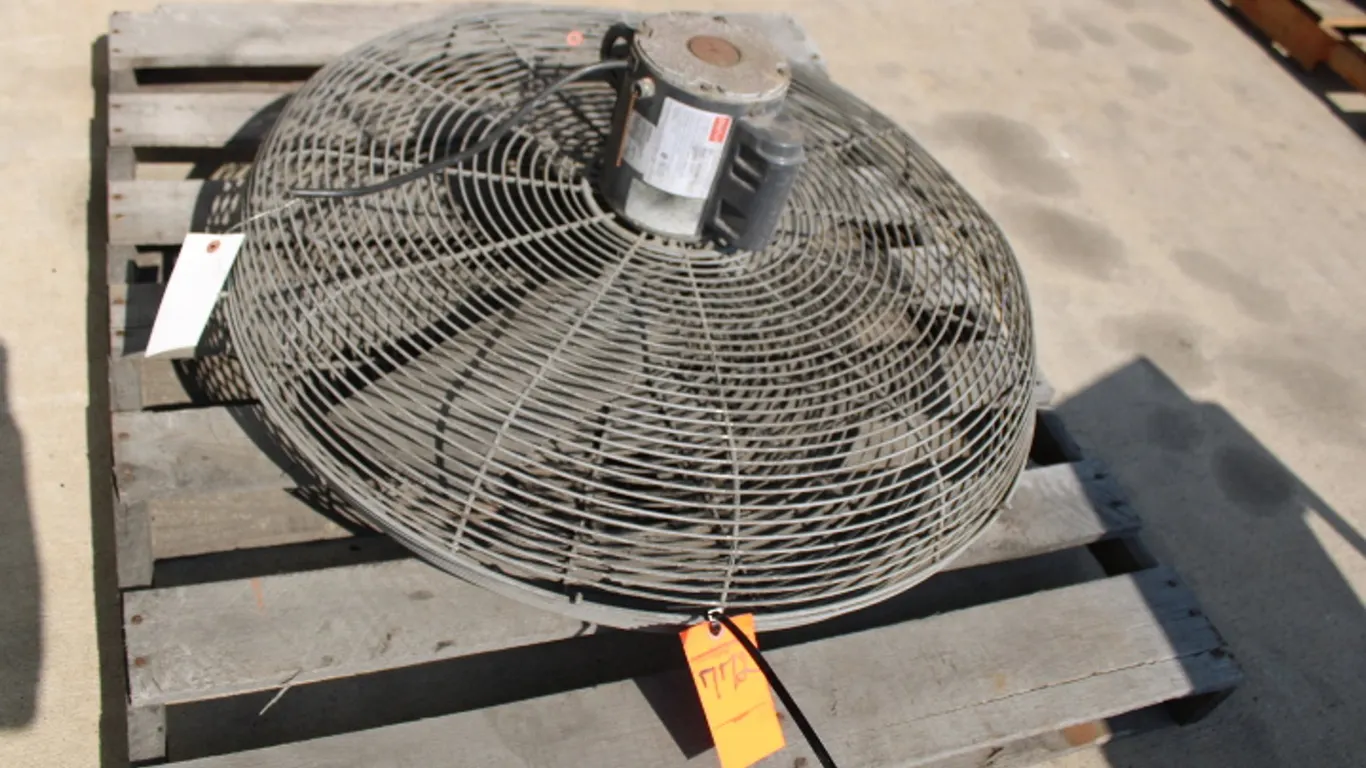 Shop Fan