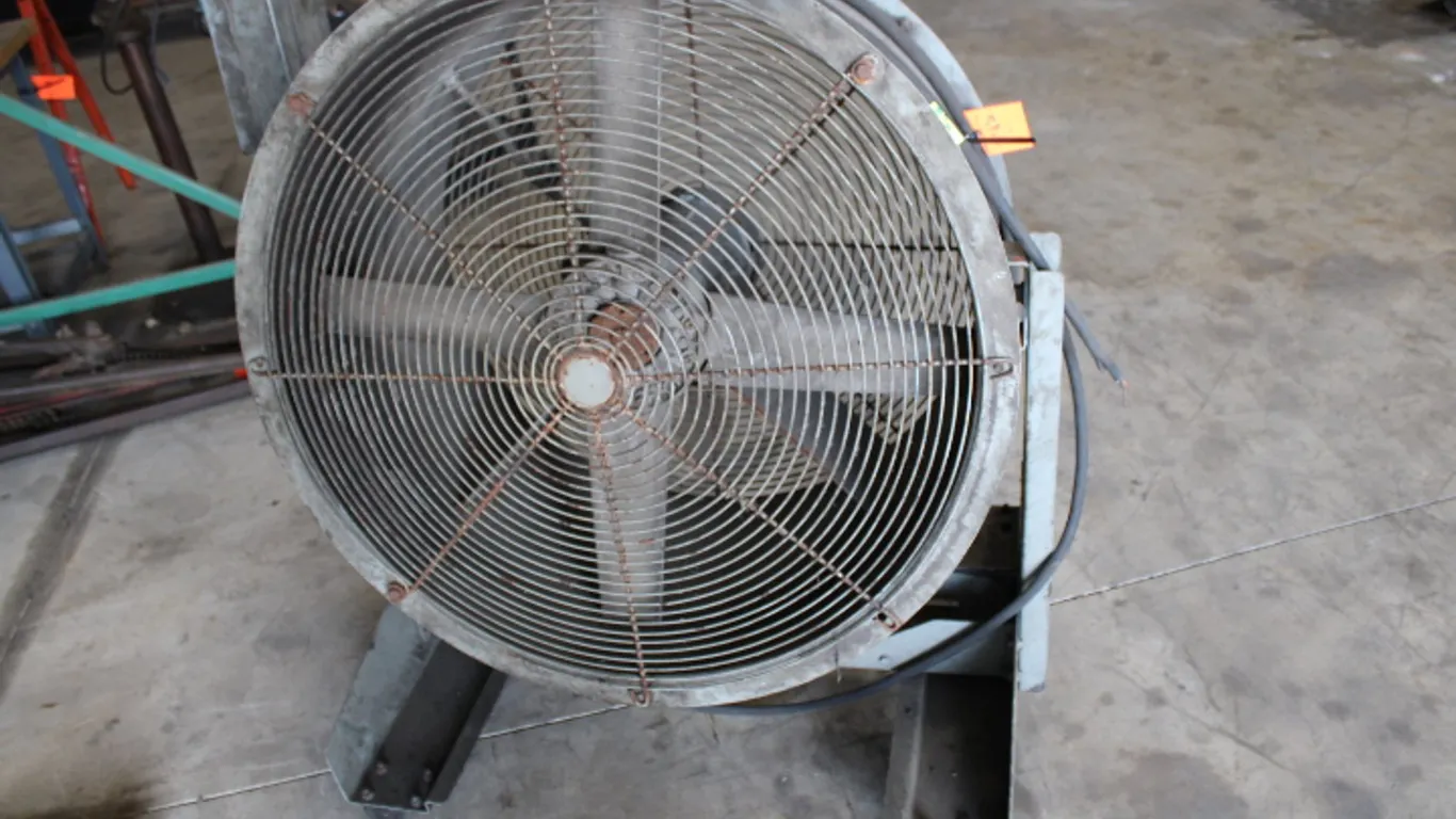 Shop Fan